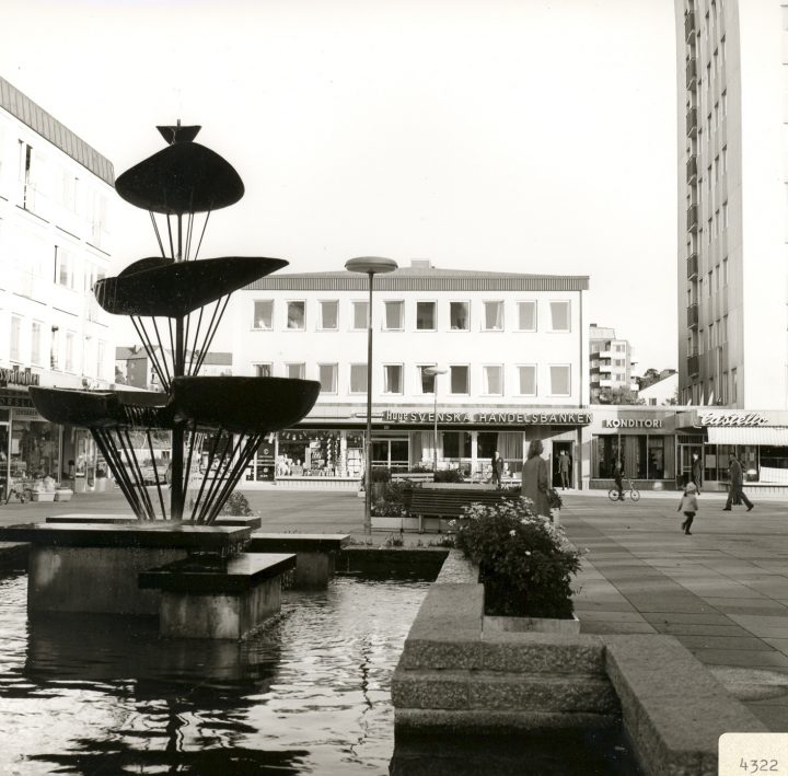 Opening of the department branch. (3)